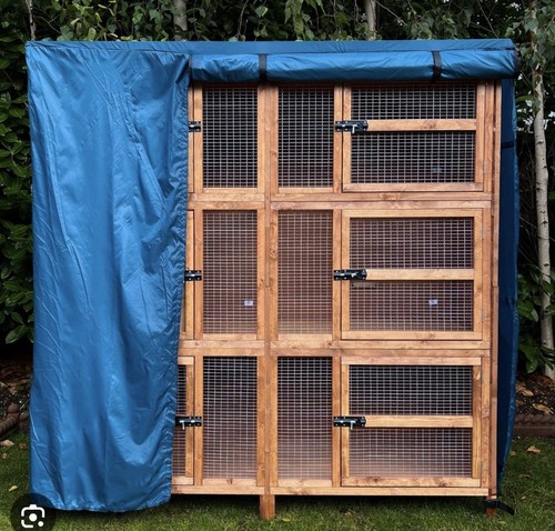 Rabbit guinea pig hutch - pig,