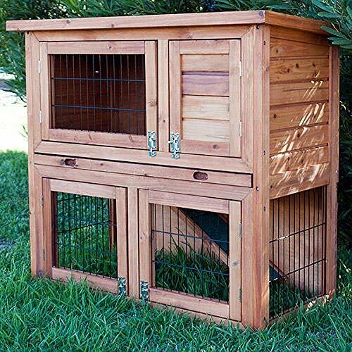 Bunny business tier double - bunny, 2-tier