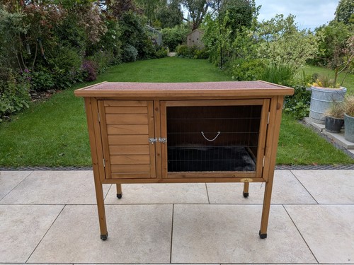 Outdoor raised guinea - raised,