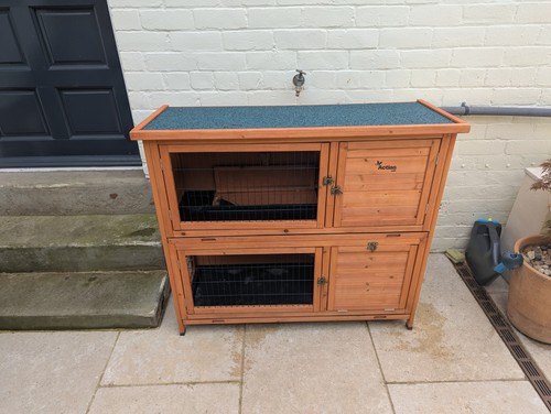 Two tier wooden guinea - tier,