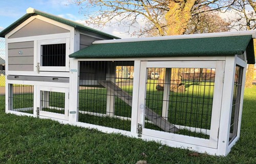 Large rabbit hutch guinea - rabbit, pig
