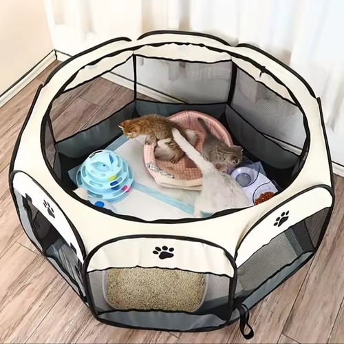 Cat maternity room - , scratch