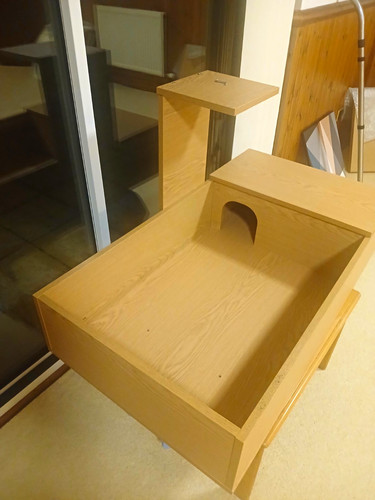 Tortoise table with lamp - tortoise,