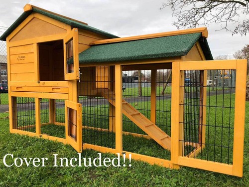 Rabbit hutch guinea pig - guinea,
