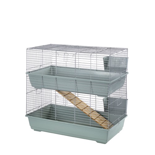 Rabbit guinea pig large - guinea, double