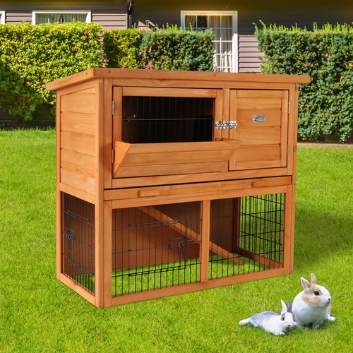 Bunny business rabbit - business, hutches