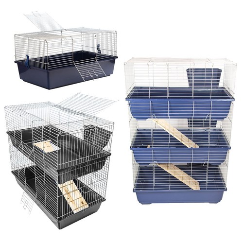 Indoor rabbit pet - rabbit,