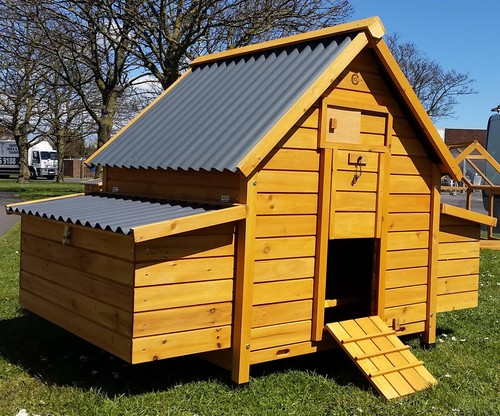 Large chicken coop run - coop, hen