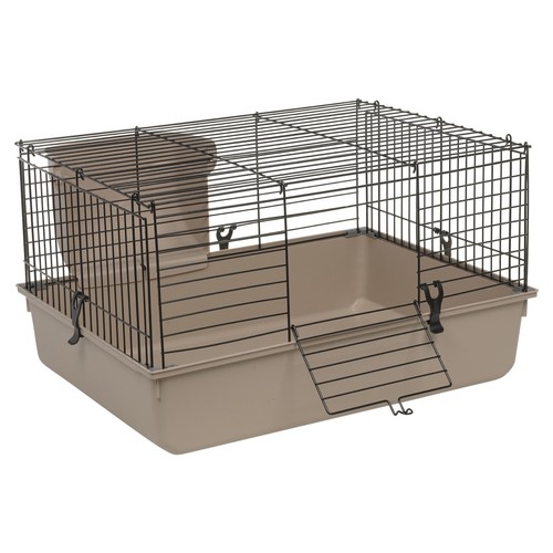 Indoor guinea pig - indoor, single