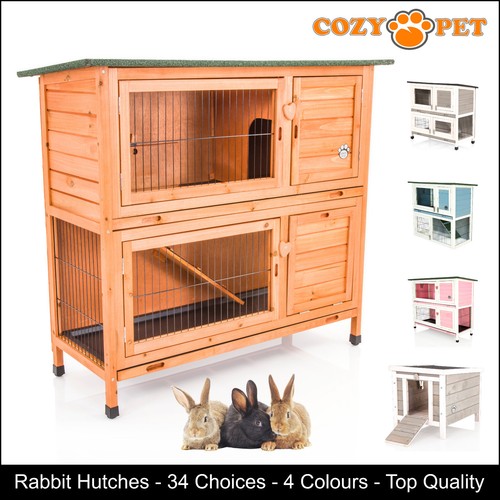 Rabbit hutch guinea - rabbit,
