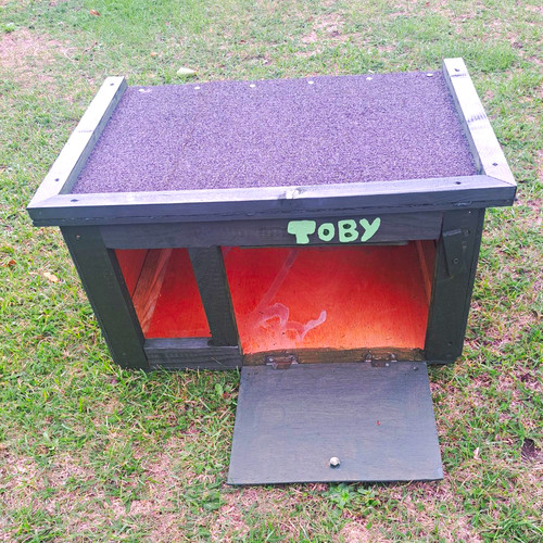 Tortoise house