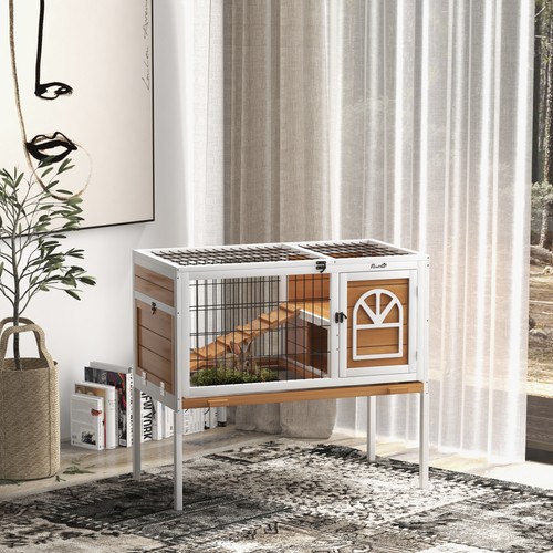 Rabbit hutch guinea - rabbit,