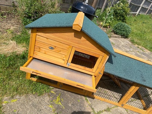 Used outdoor rabbit guinea - rabbit, or