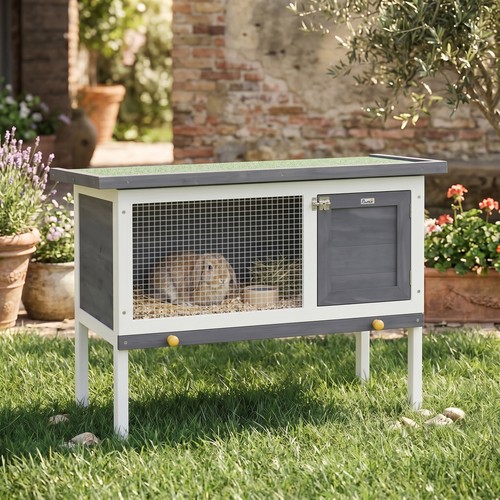 Rabbit hutch wooden - rabbit, hutch,