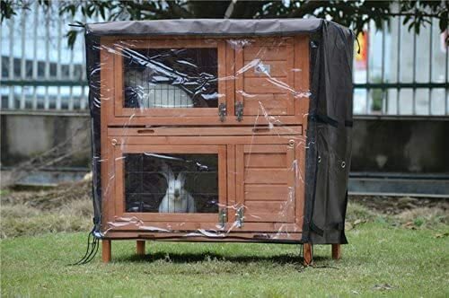 Rabbit guinea pig - rabbit,