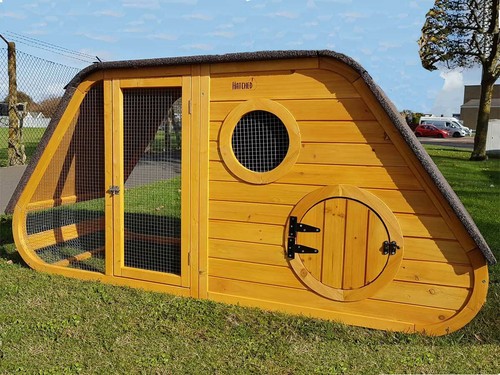 Large chicken coop - chicken,