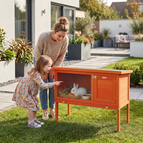 Pawhut rabbit hutch - pawhut, guinea