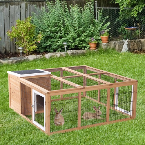 Rabbit hutch outdoor - rabbit, guinea
