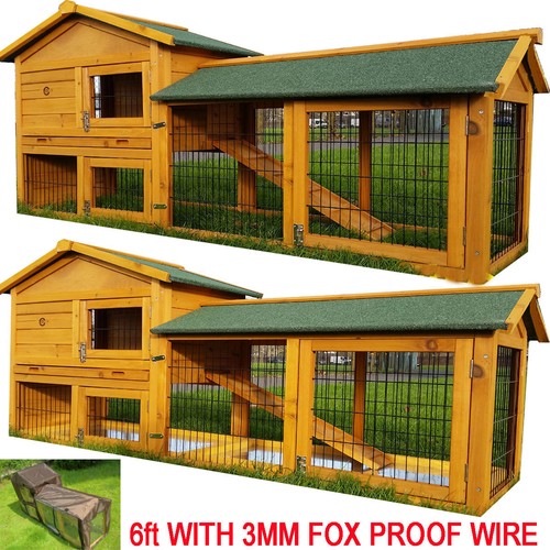 Rabbit hutch guinea - rabbit, pig